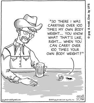brevity